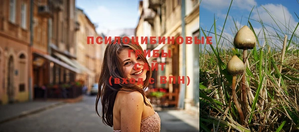 марихуана Горнозаводск