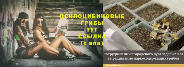 винт Горняк