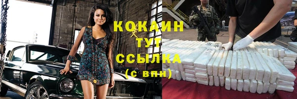 винт Горняк